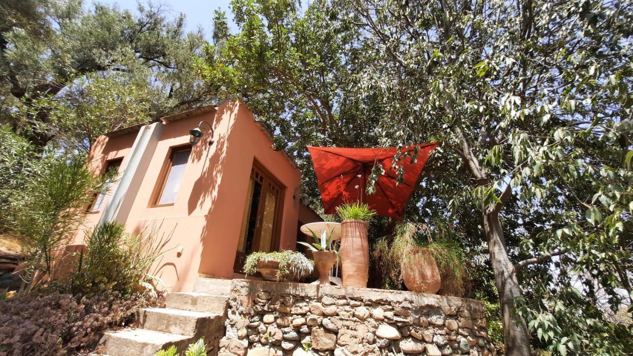 Maroc Lodge Atlas Mountain Retreat Amizmiz Exterior photo